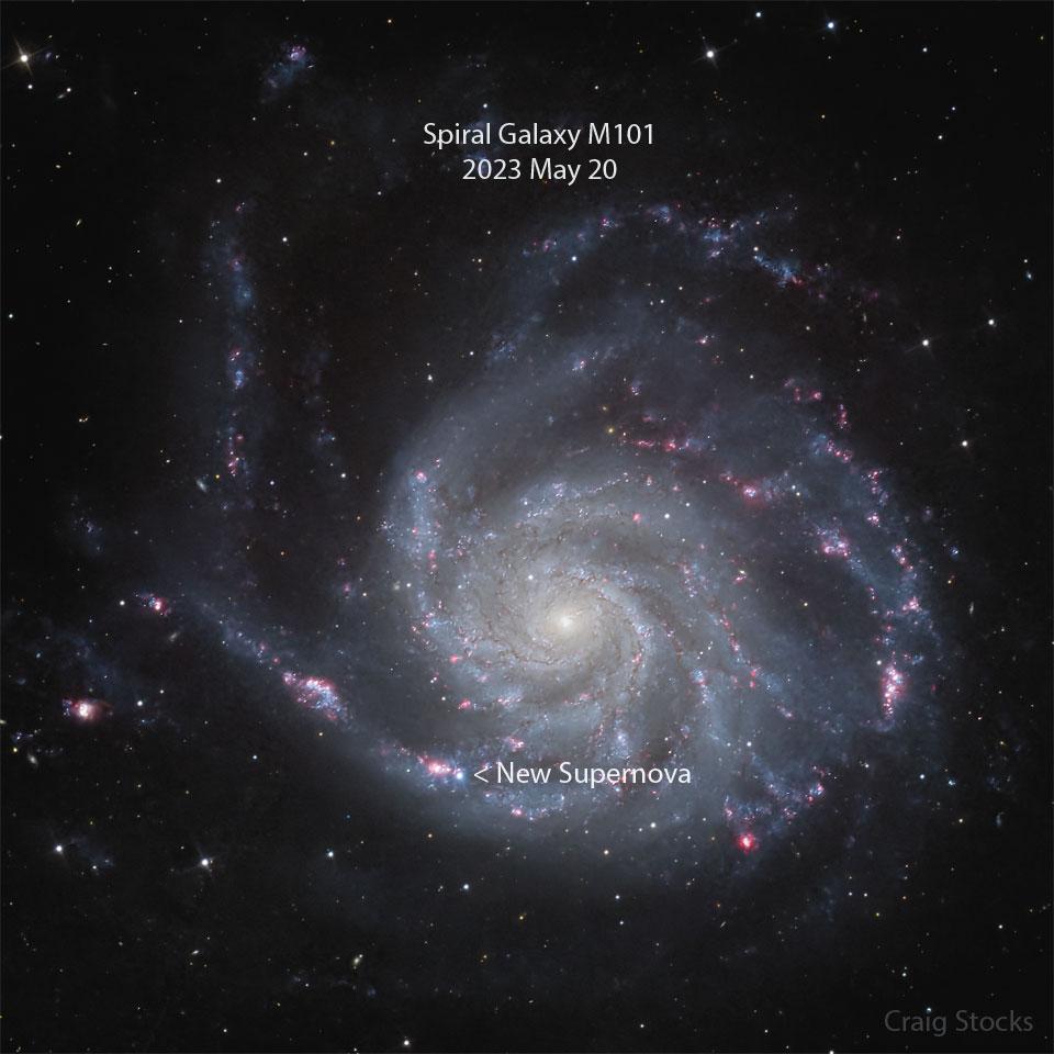 Astronomy Picture of the Day Supernowa odkryta w pobliskiej galaktyce